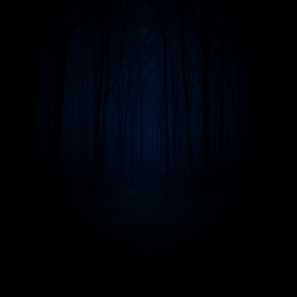 El bosque oscuro. Preservando el silencio del espacio.