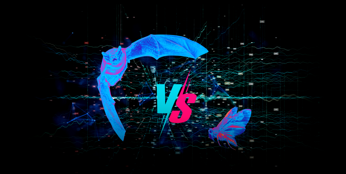 Jamming biológico: simulando la batalla ultrasónica entre polillas y murciélagos