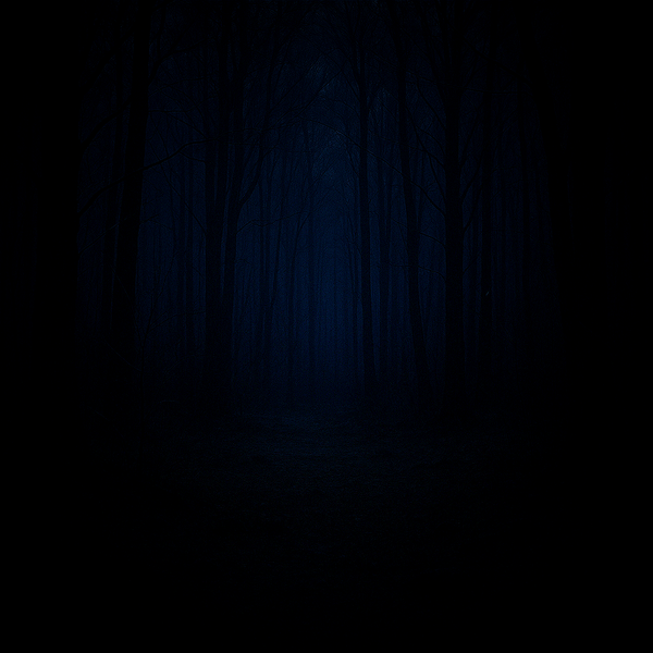 El bosque oscuro. Preservando el silencio del espacio.