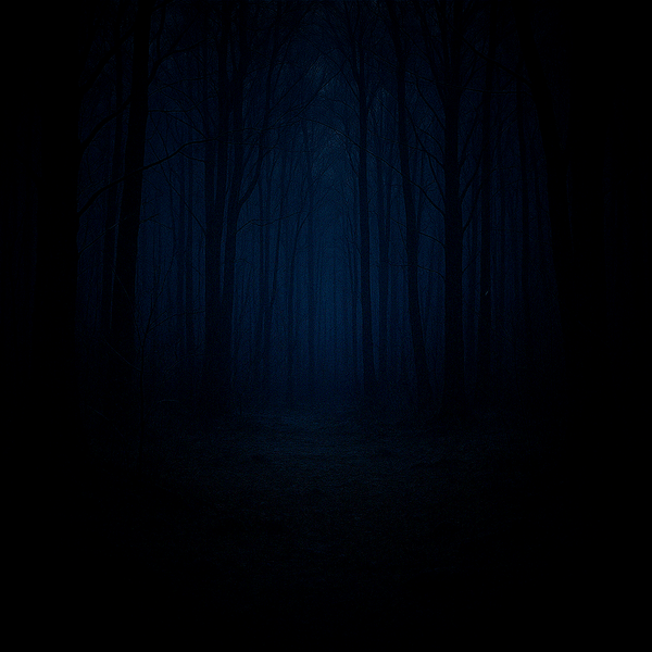 El bosque oscuro. Preservando el silencio del espacio.